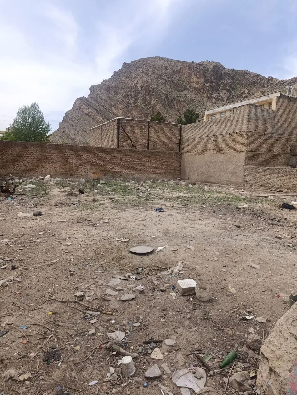 زمین