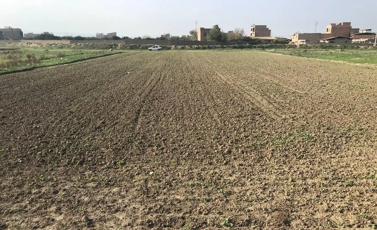 زمین به متراژ ۳۰۰۰هزارمتر مربع