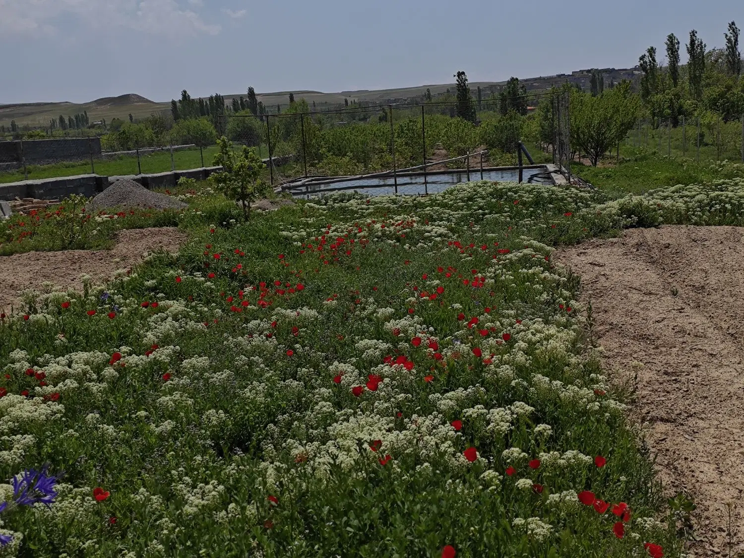 فروش باغی در نزدیکی روستای یوسفخان