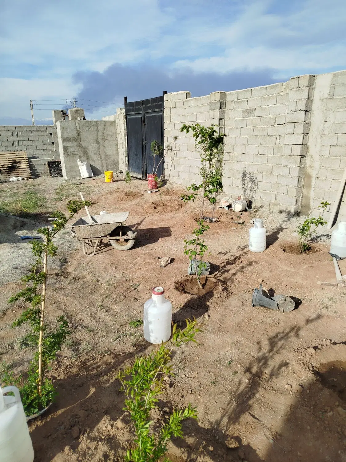 زمین 301متری فروشی