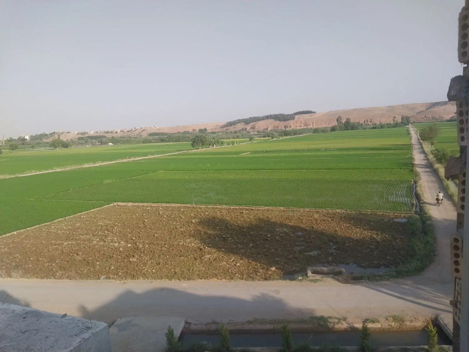 املاک
