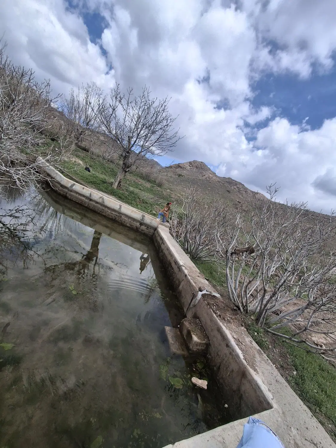 معاوضه زمین با خودروی سواری