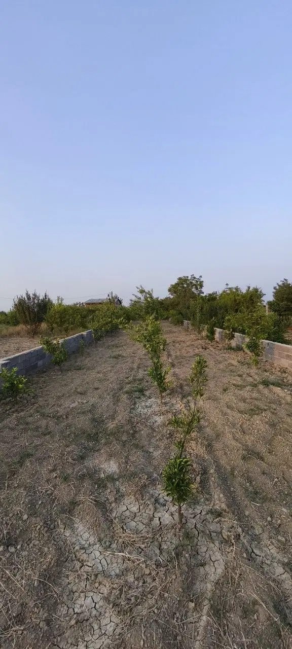 زمین مناسب سرمایه گذاری