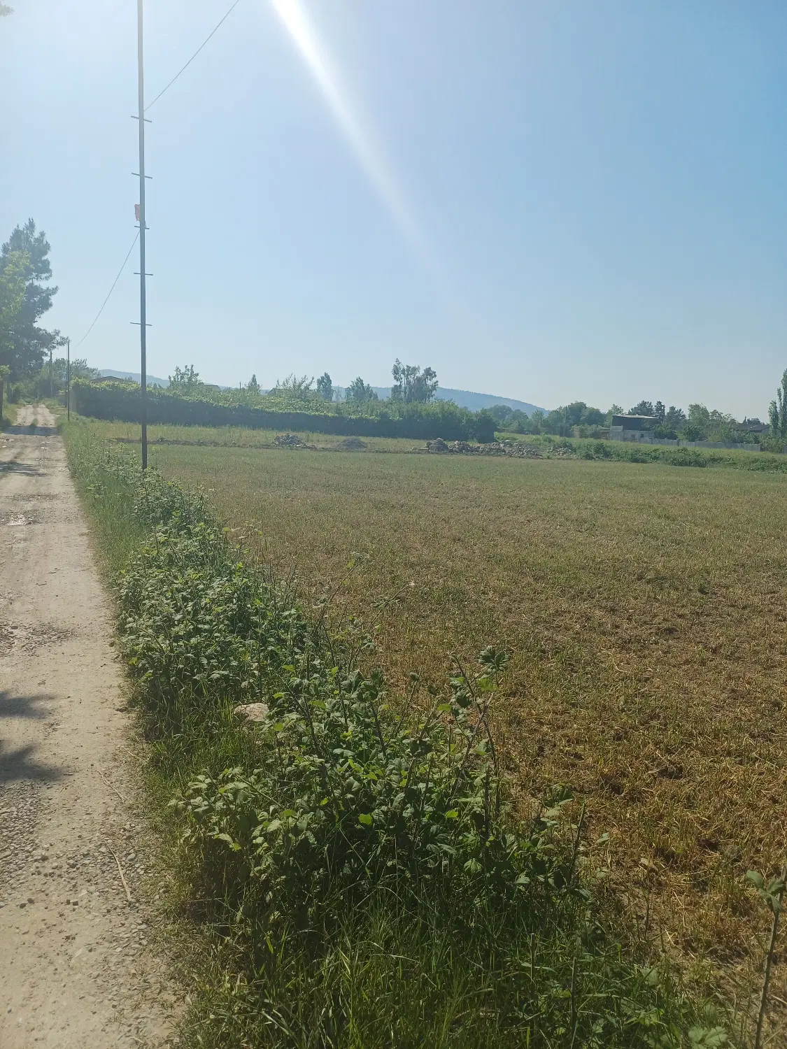 زمین شکار توسکستان