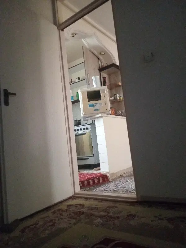 همخونه ، همخانه