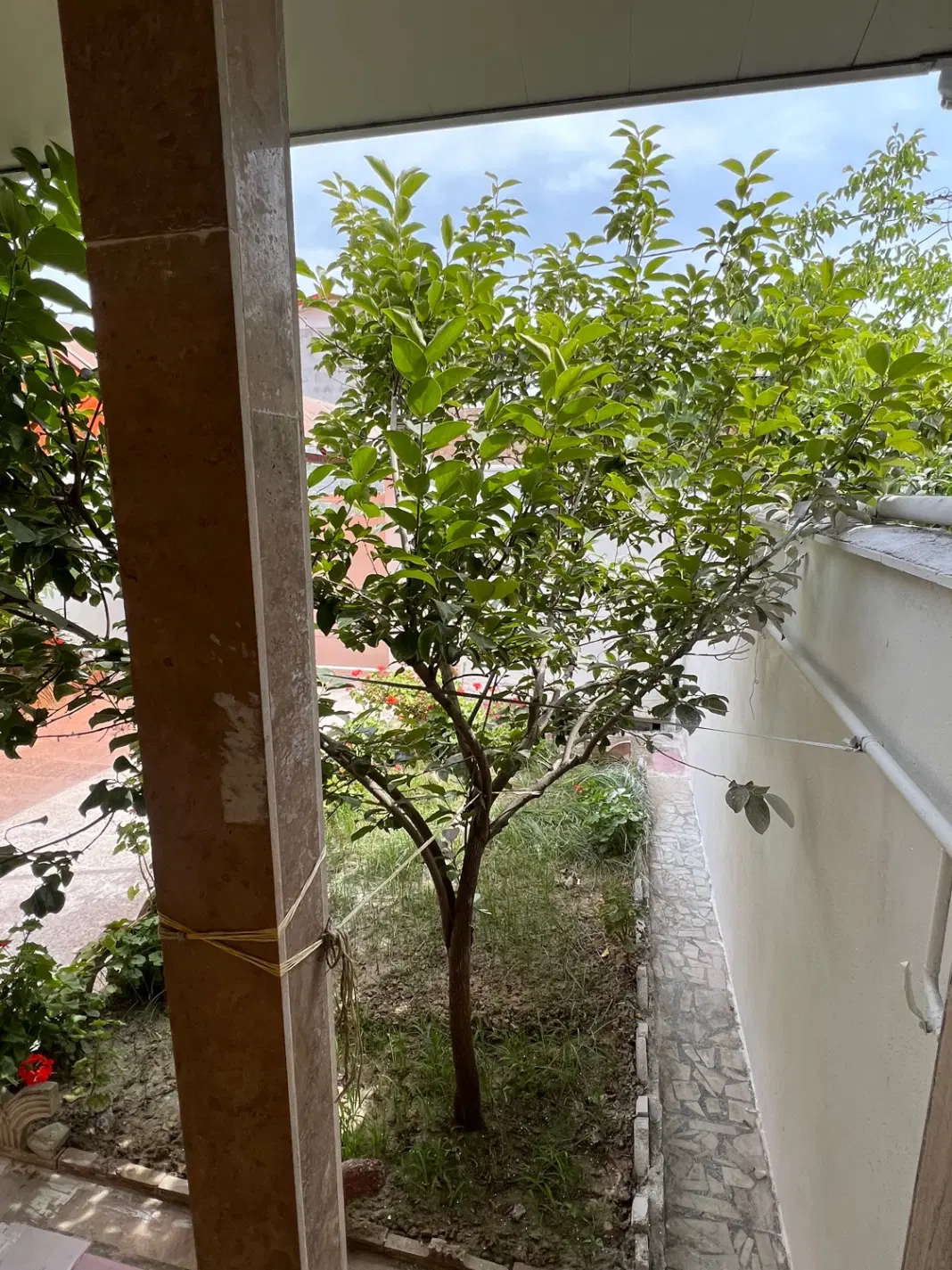 ۲۰۹ متر ویلای خوش موقعیت با سند تک برگ