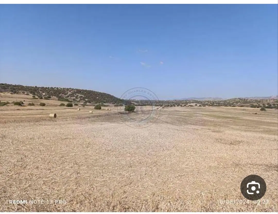 زمین جعفر آباد