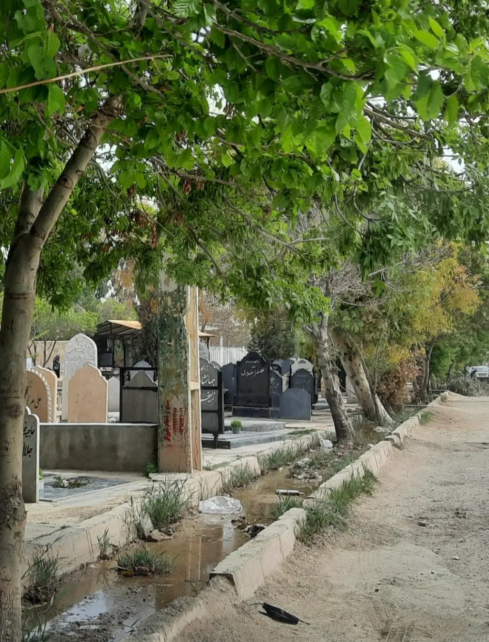 قبر در قطعه 18 بهشت زهرا
