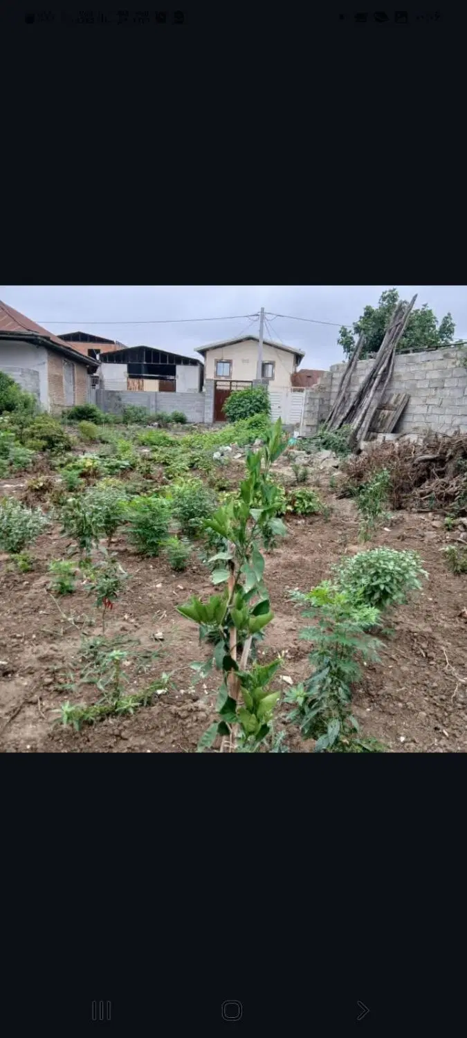 زمین مسکونی واقع در روستای دیودشت بابل