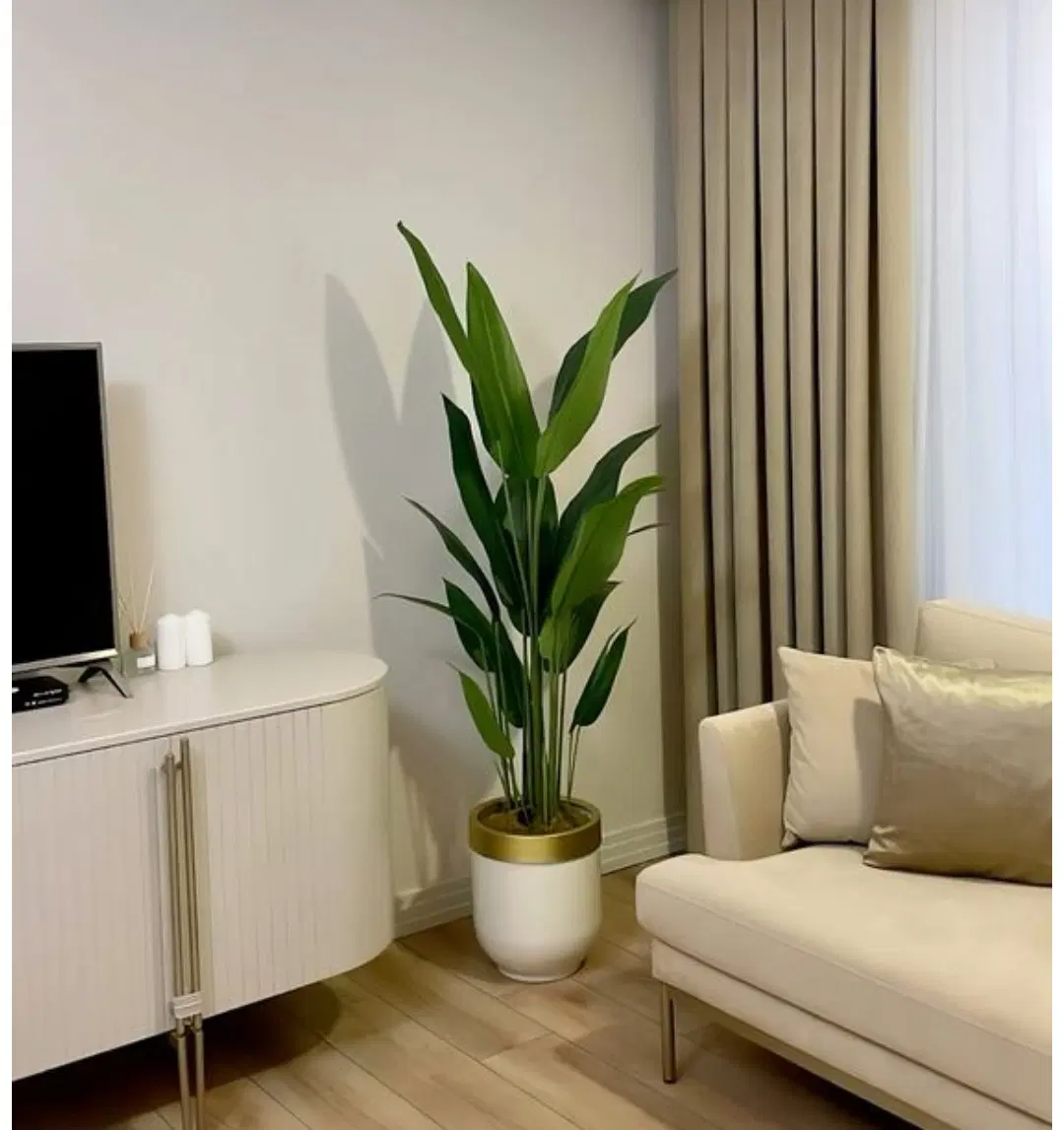رهن و اجاره آپارتمان مسکن مهر لپویی