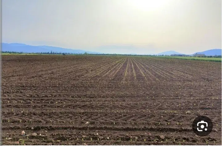 زمین کشاورزی