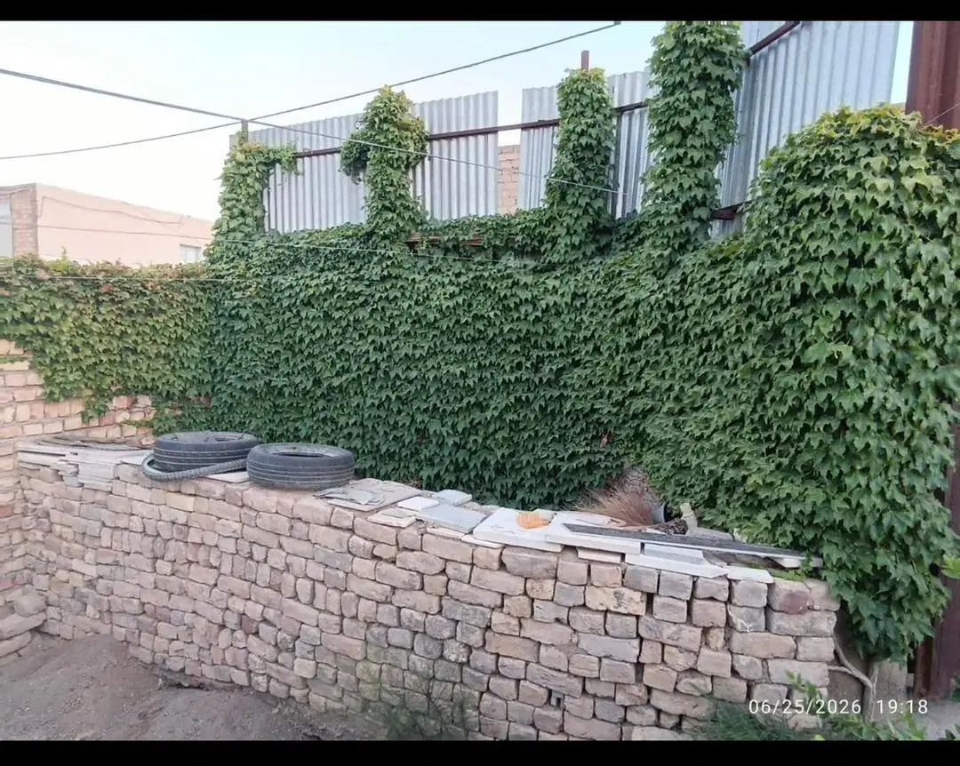 چهار دیواری دارای انشعاب آب برق گاز