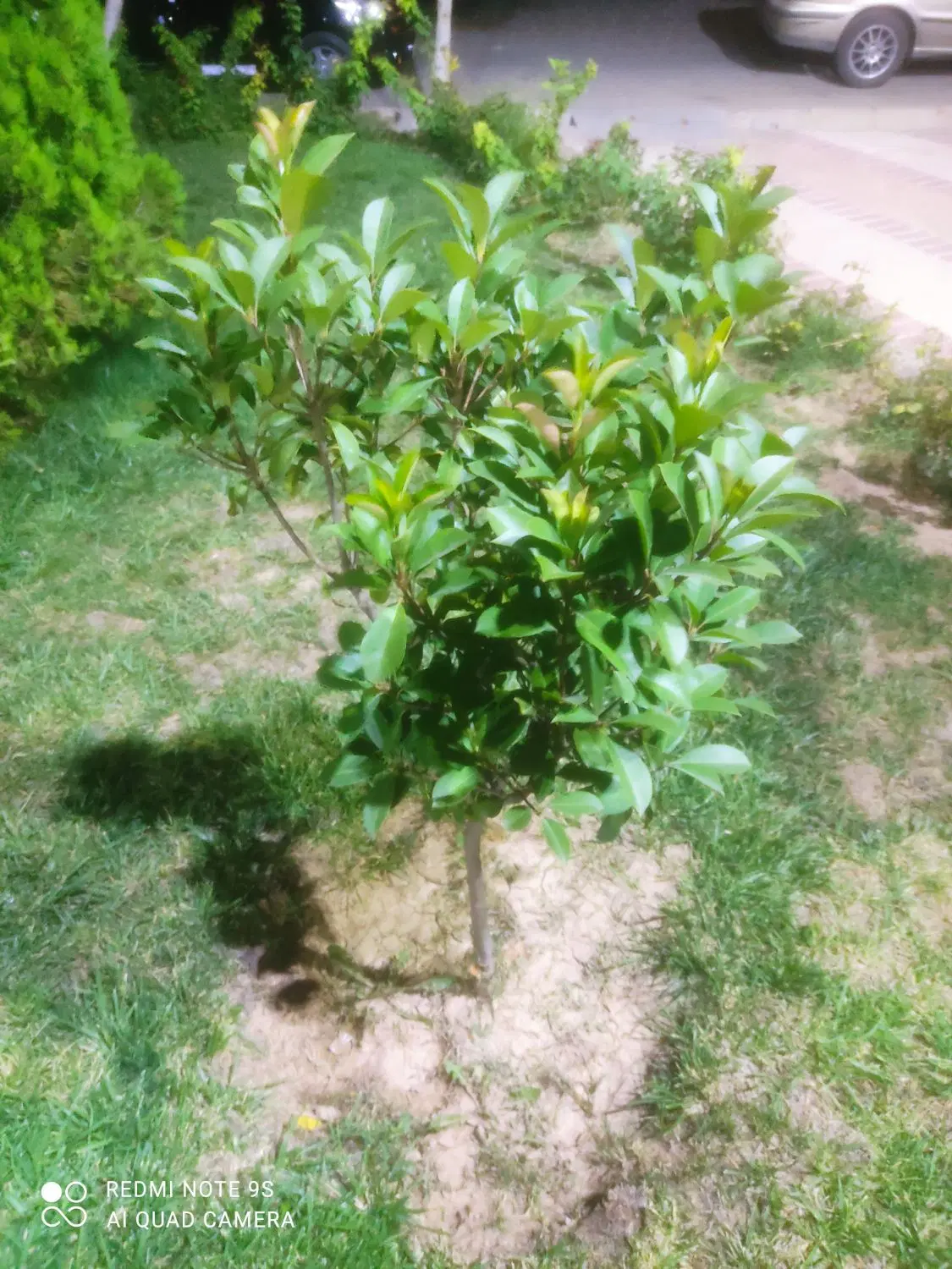 زمین 200 متری گلدشت حافظ