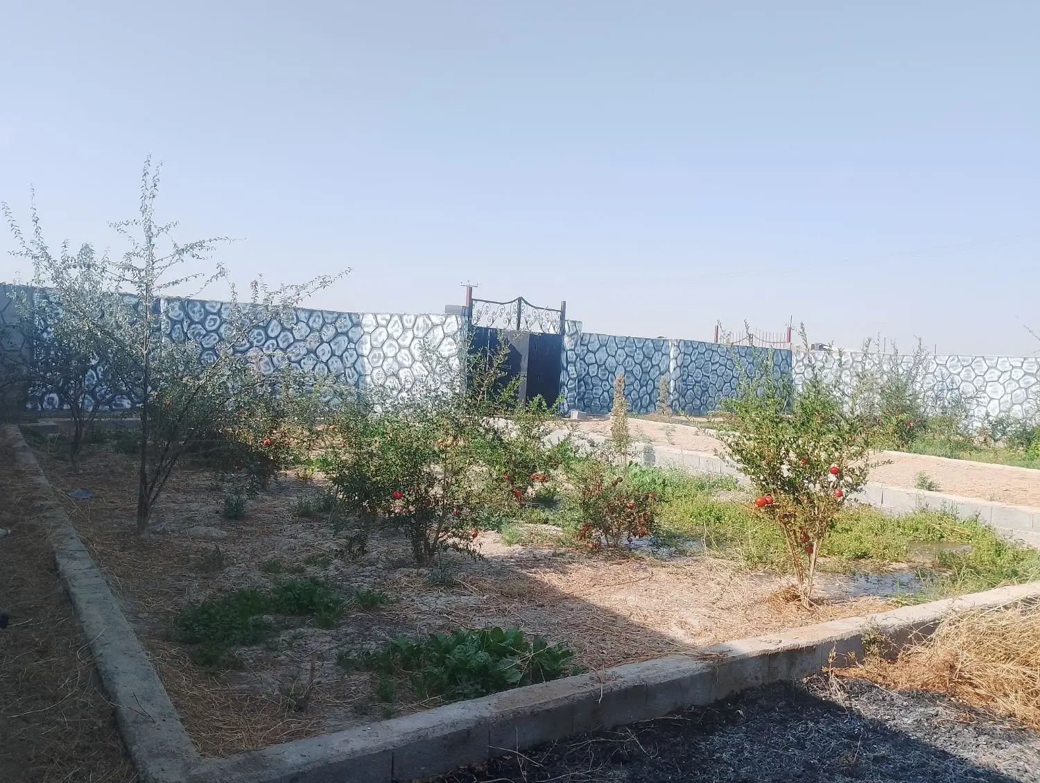فروش چهار دیواری باغ