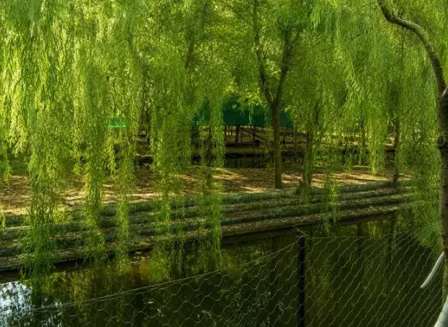 ویلاجزیره ای _ سنددار