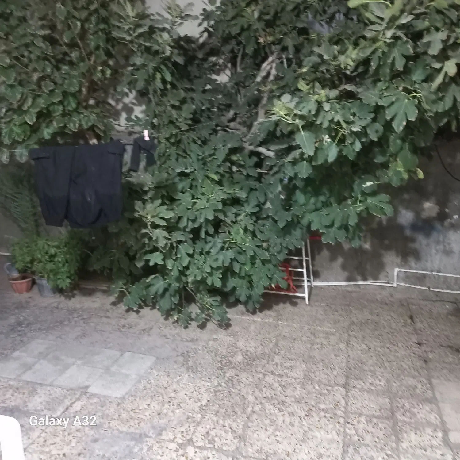 زمین بلوار خداکرم