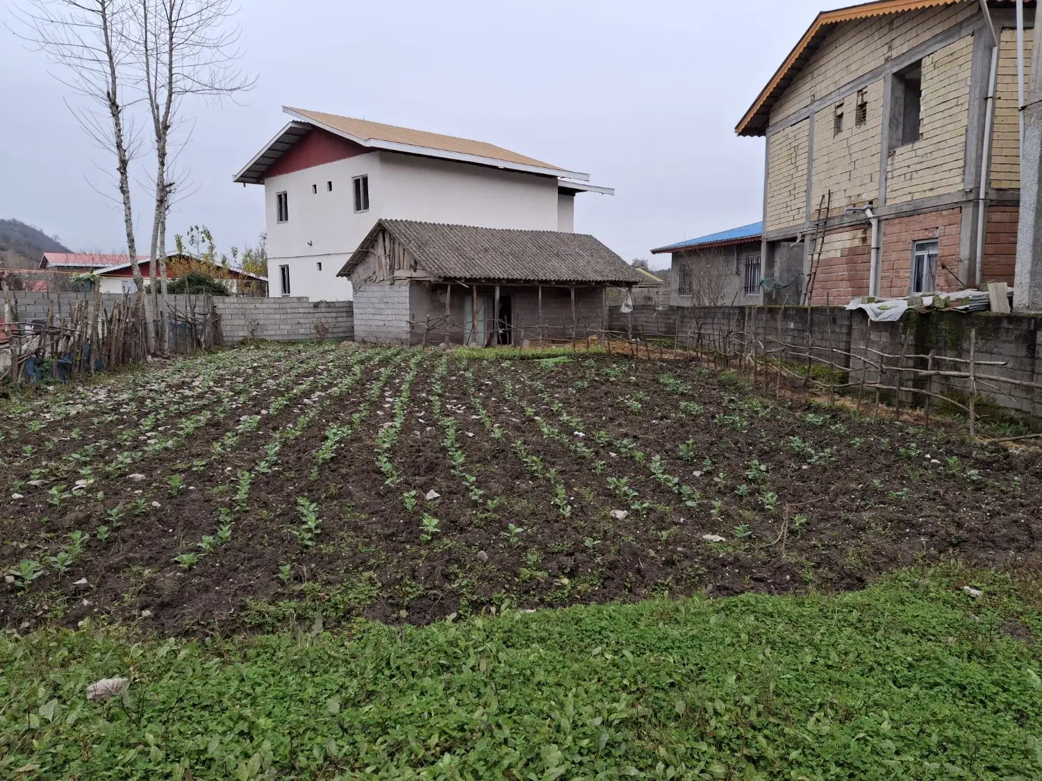 فروش زمین ویلایی روستای کانرود
