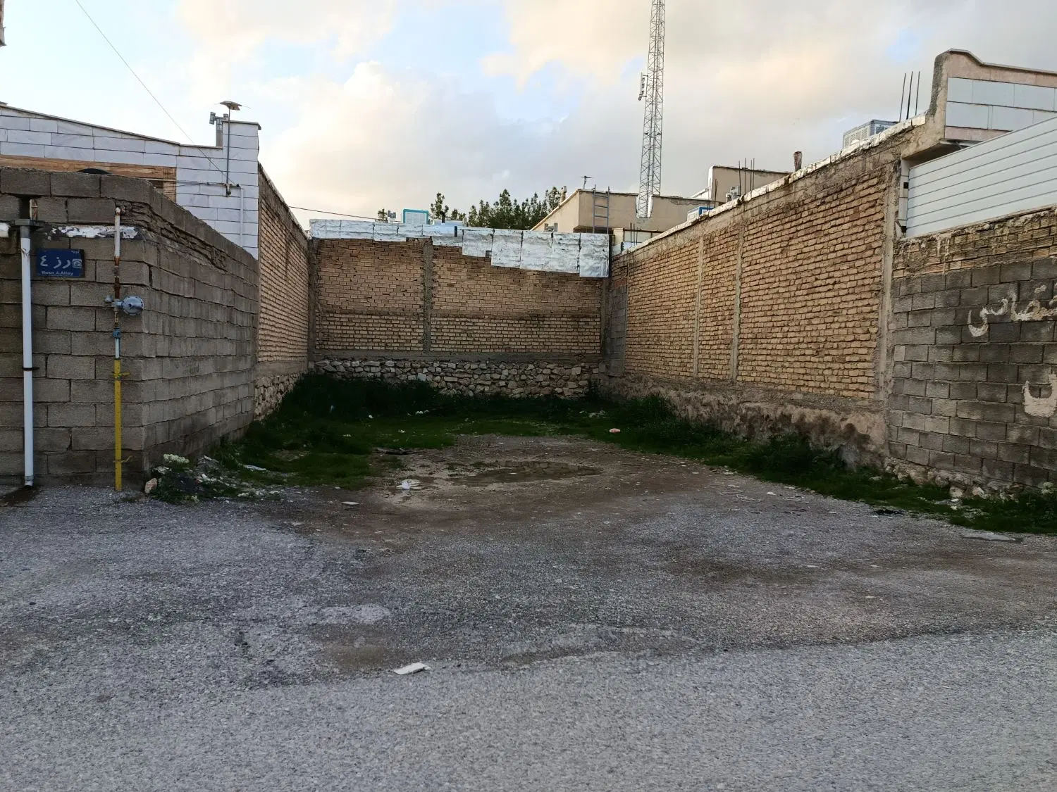 زمین جنوبی تک برگ سند