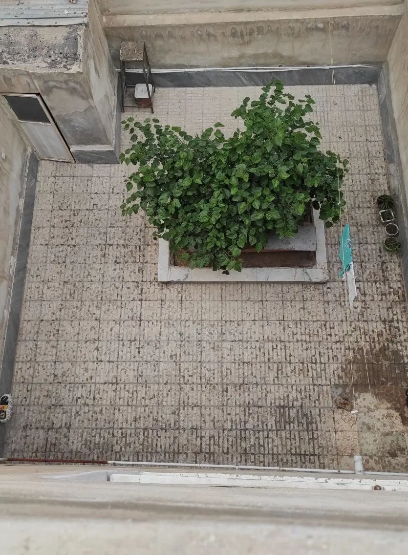 اجاره 65 متری محمدیه