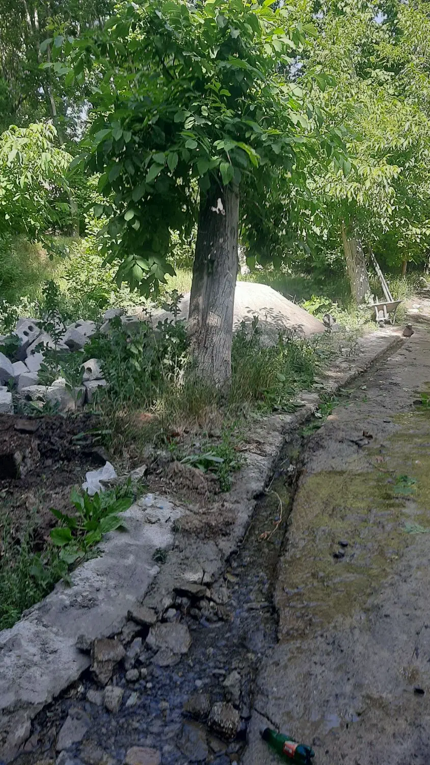 باغچه ۱۵۳متری پلاک دوم  زاینده رودباسندتک برگ