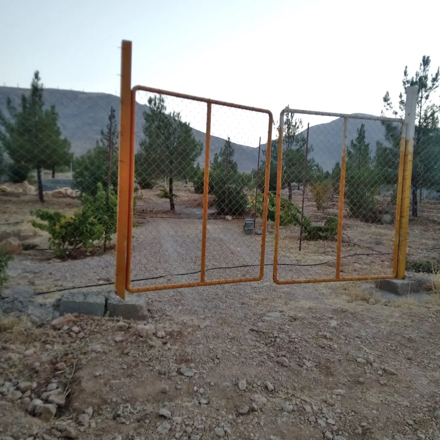 فروش یا معاوضه باغ شهری