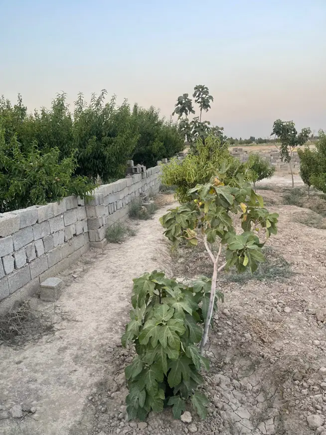 باغچه۲۵۰متری ‌خوشنام فروشی