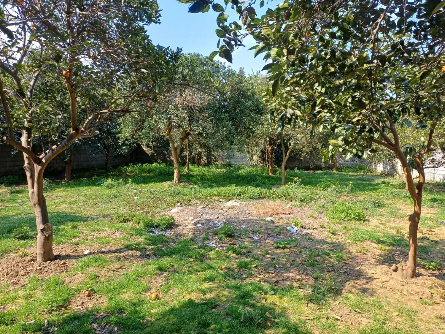 زمین ۸۰۵ متری ابتدای جاده گنج افروز