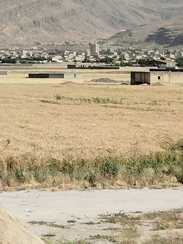 زمین ملکی محمودآباد