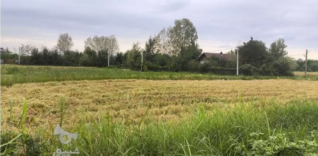 زمین باغی