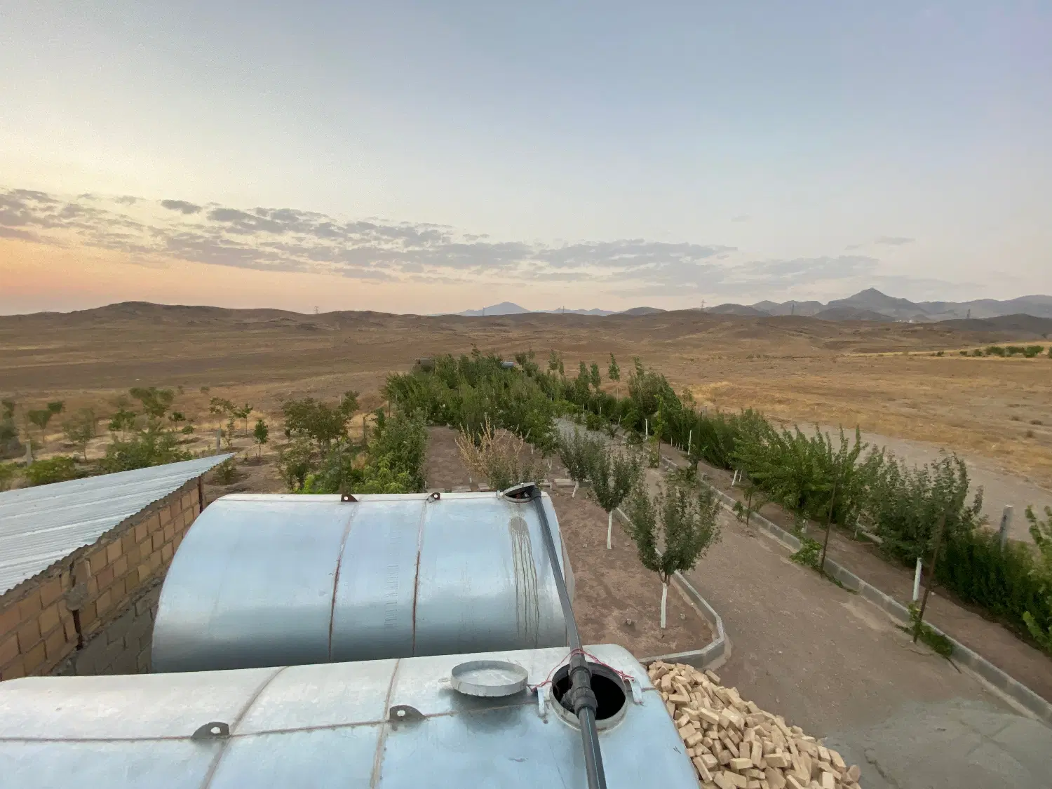 زمین باغی