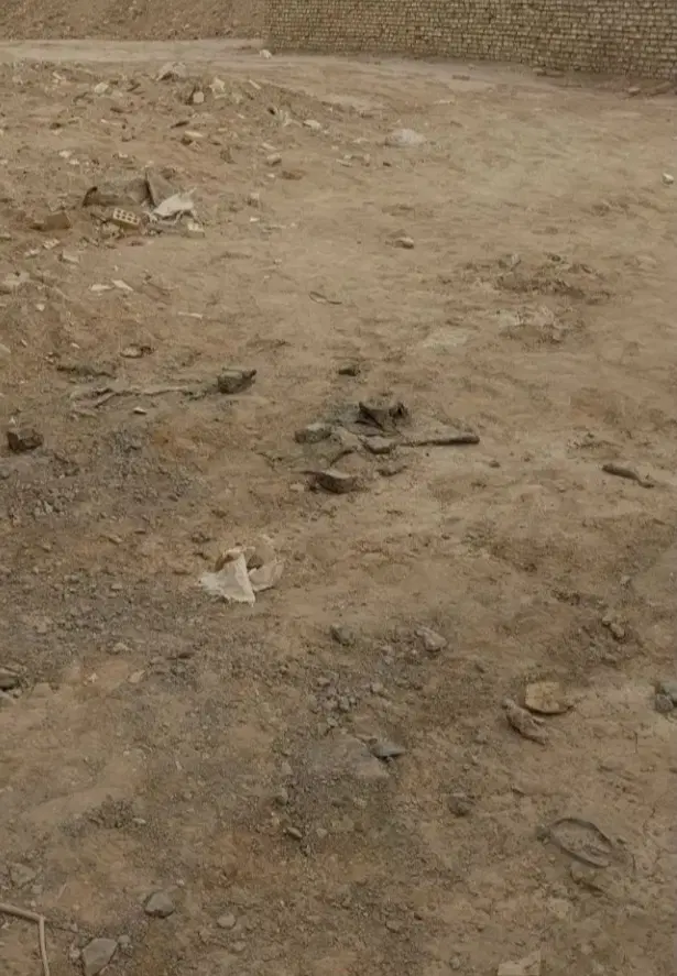 زمین ۱۵۵ متری سند دار