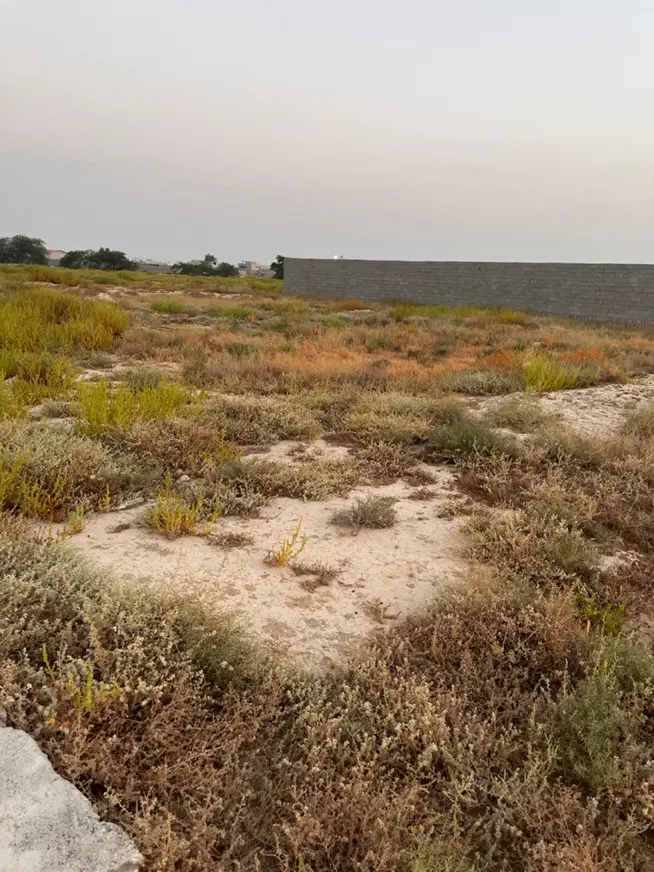 زمین باغی سند تک برگ ۵۸۰ متر