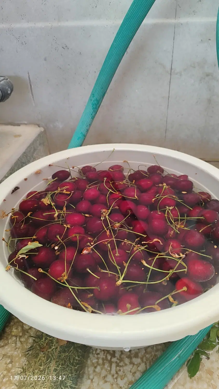 زمین باغ درجه یک