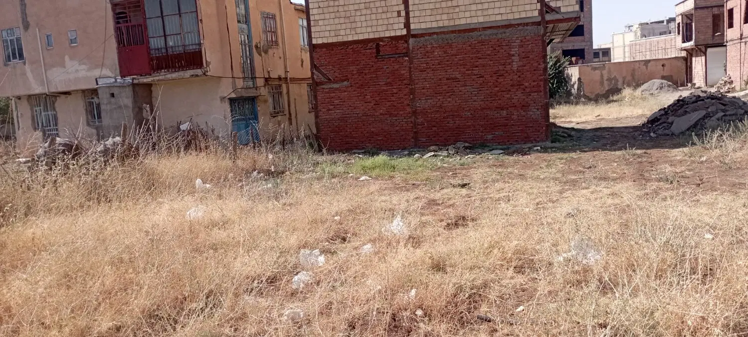 زمین پشت کارتن