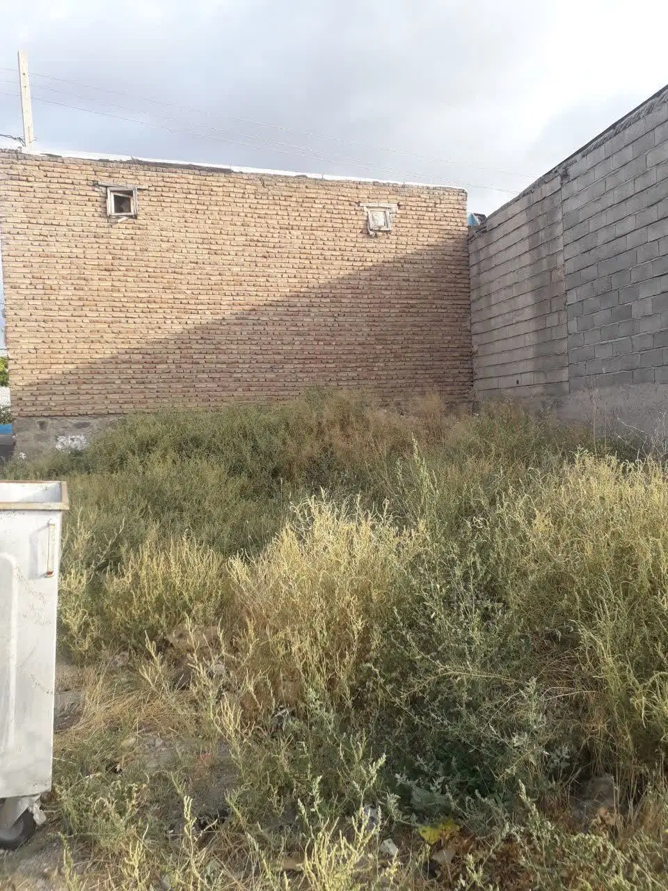 مغازه