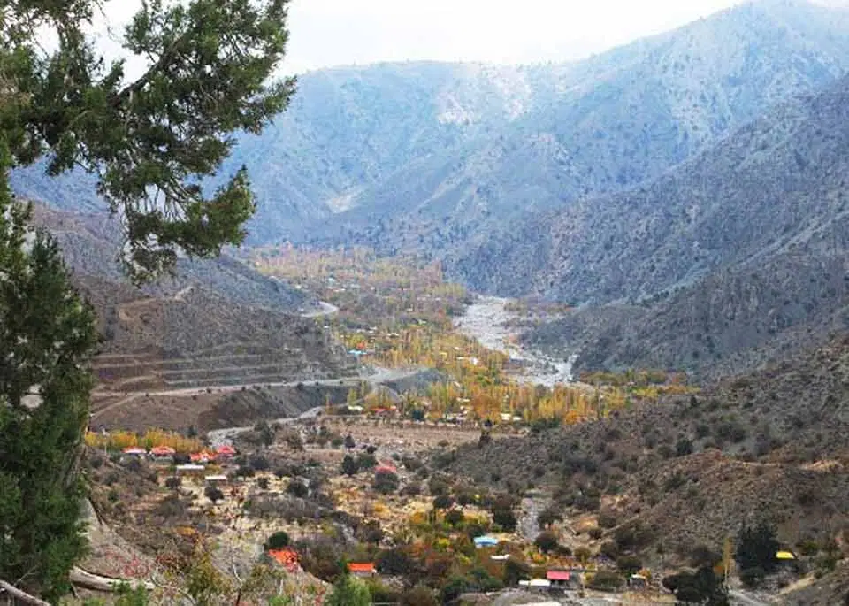 زمین باغ دلفارد