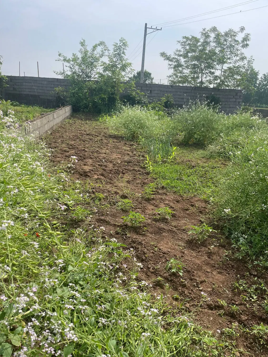 زمین مسکونی