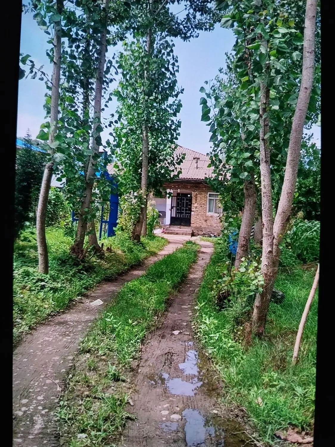 اجاره یک دستگاه خانه باغ به متراژ ۴۶۰۰متر
