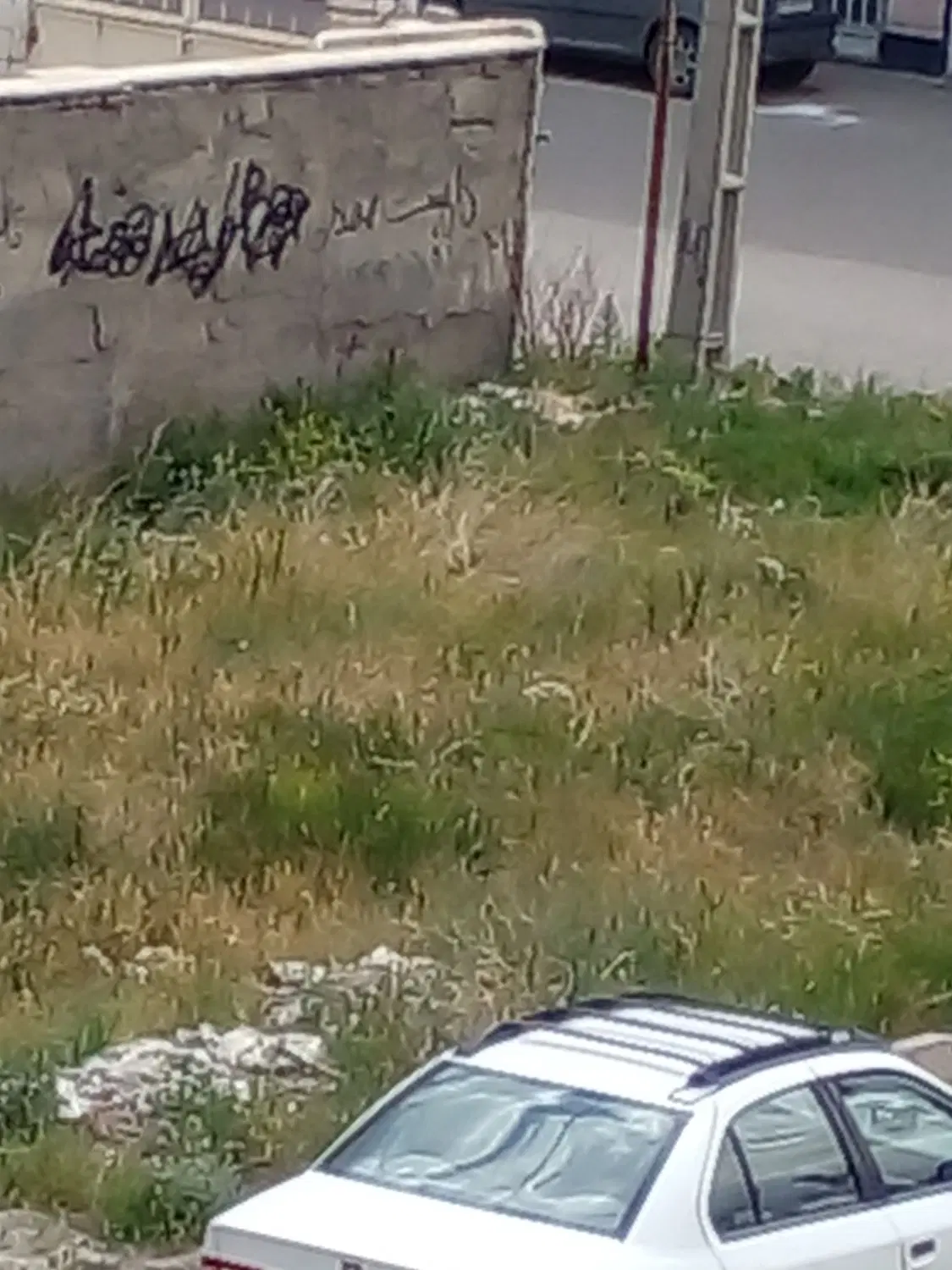 ۲۰۰ متر زمین جنوبی شهرک ساحلی