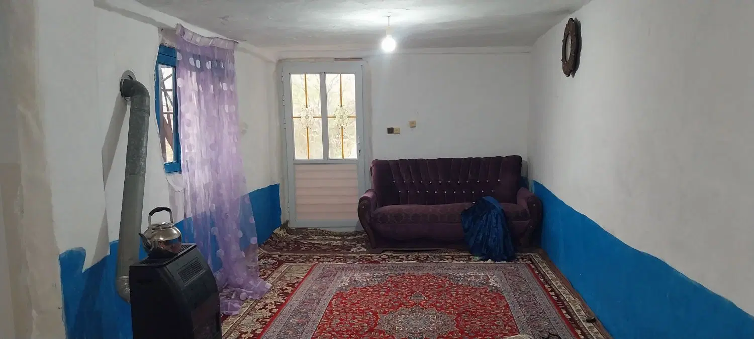سوئیت در دل جنگل
