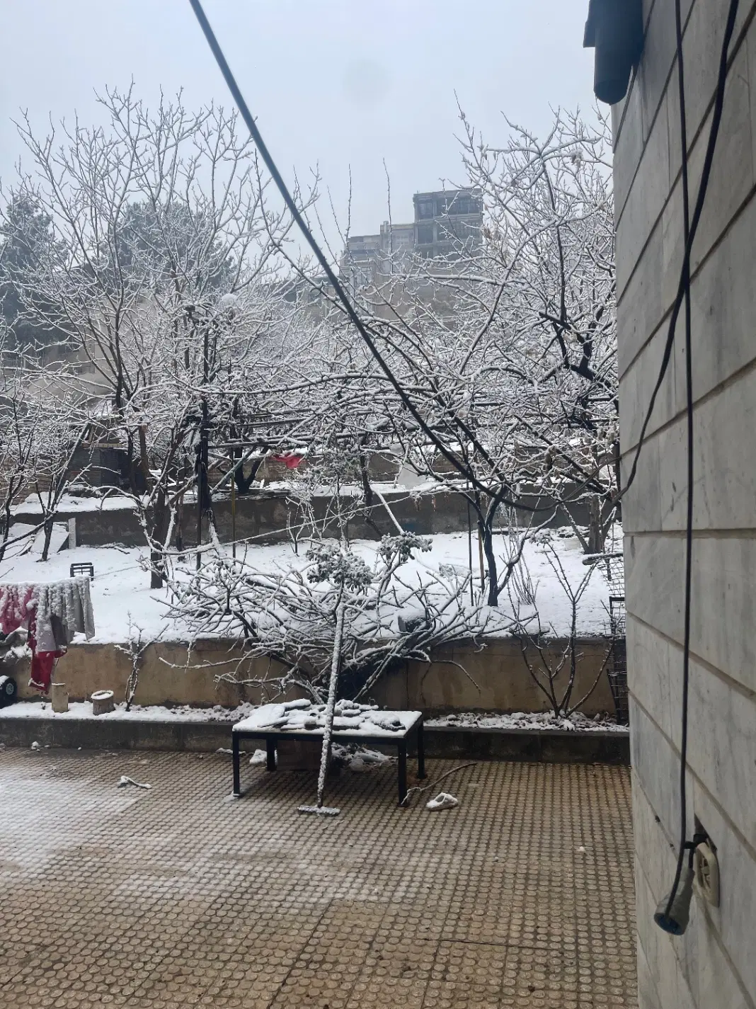 باغچه اجاره ای