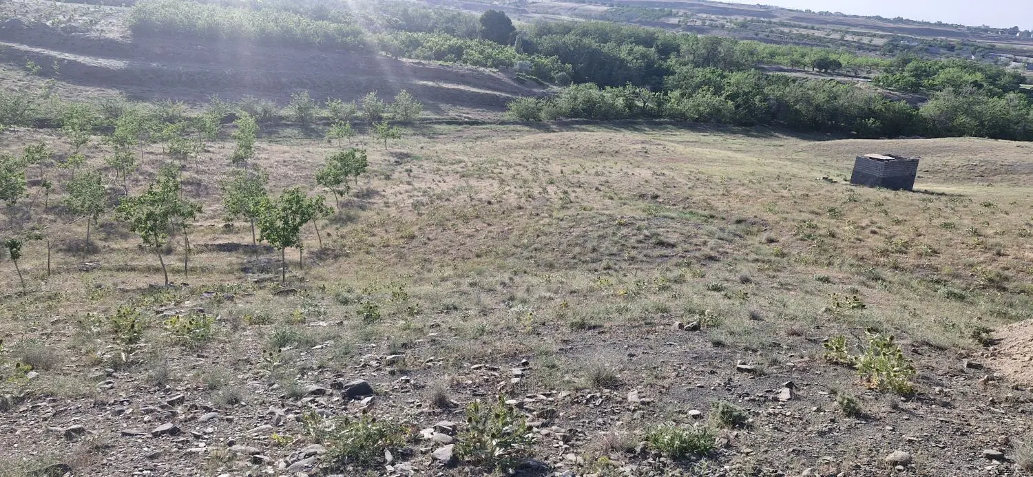 زمین آینده دار