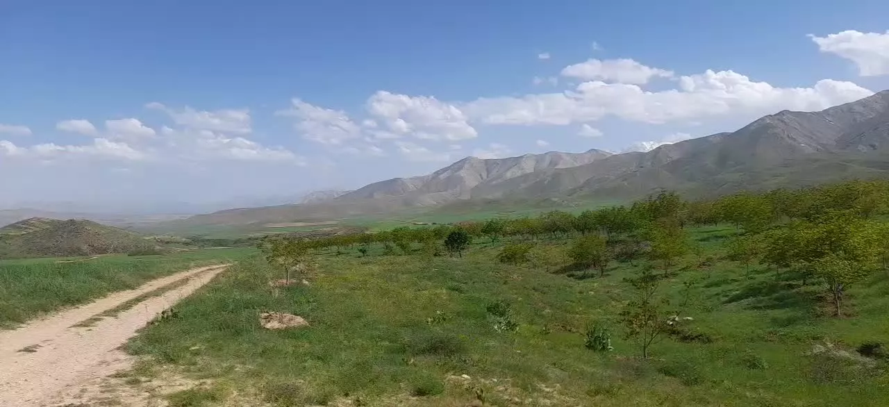 زمین باغ