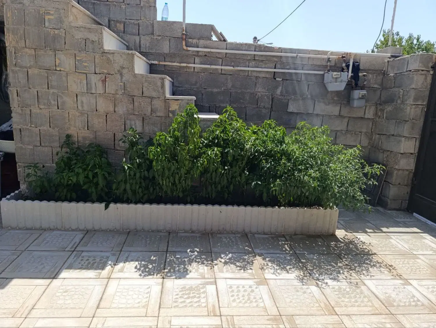 خانه ای با رهن 100تا 400 دارید تماس بگیرید
