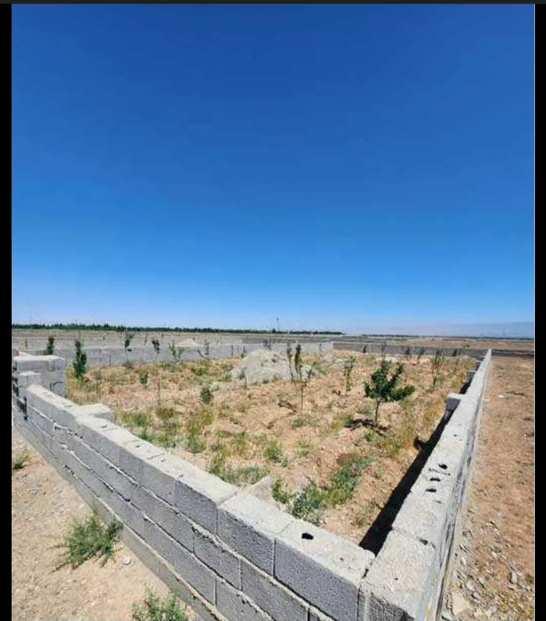 زمین