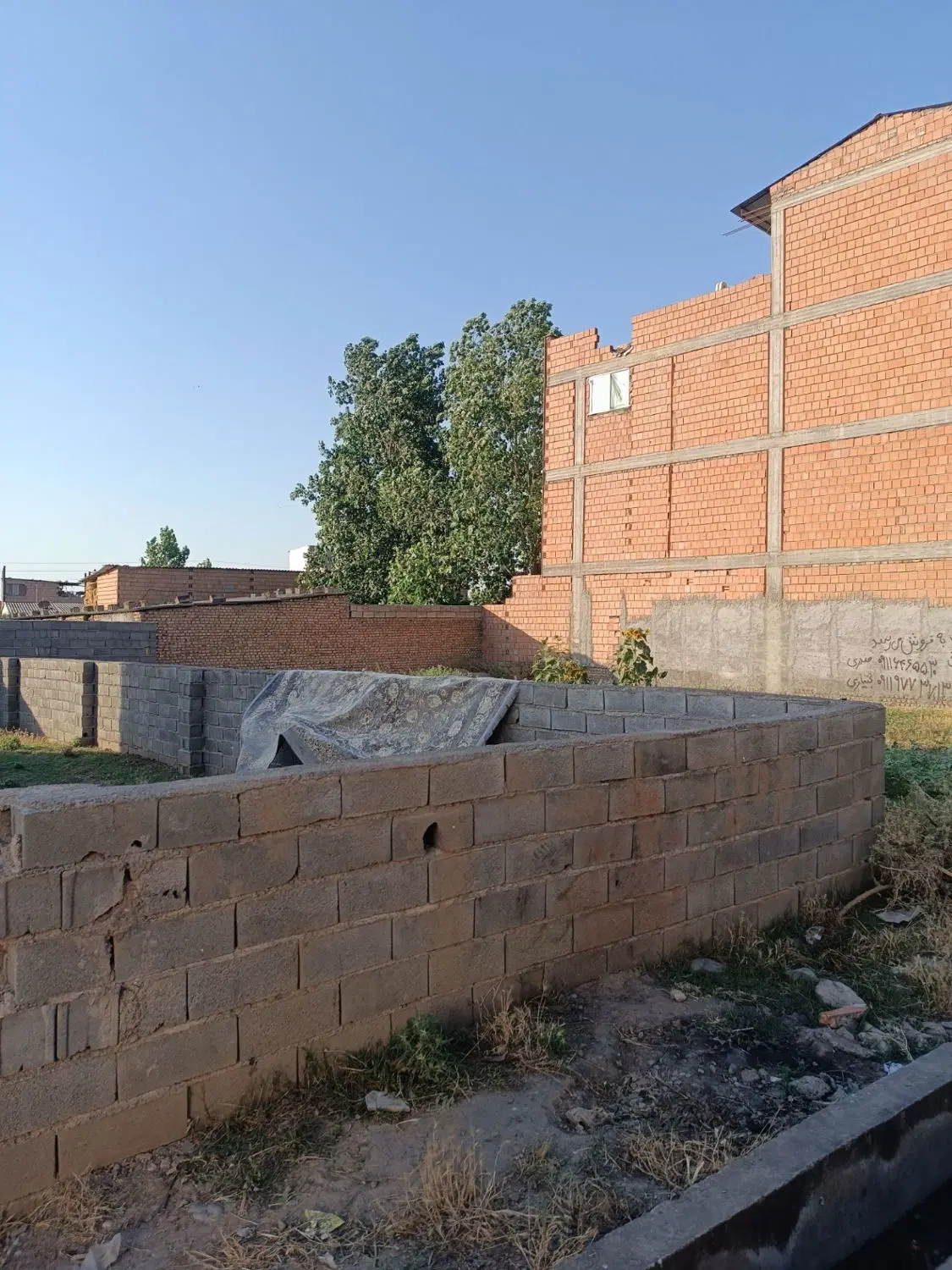 زمین ولایت۱۲
