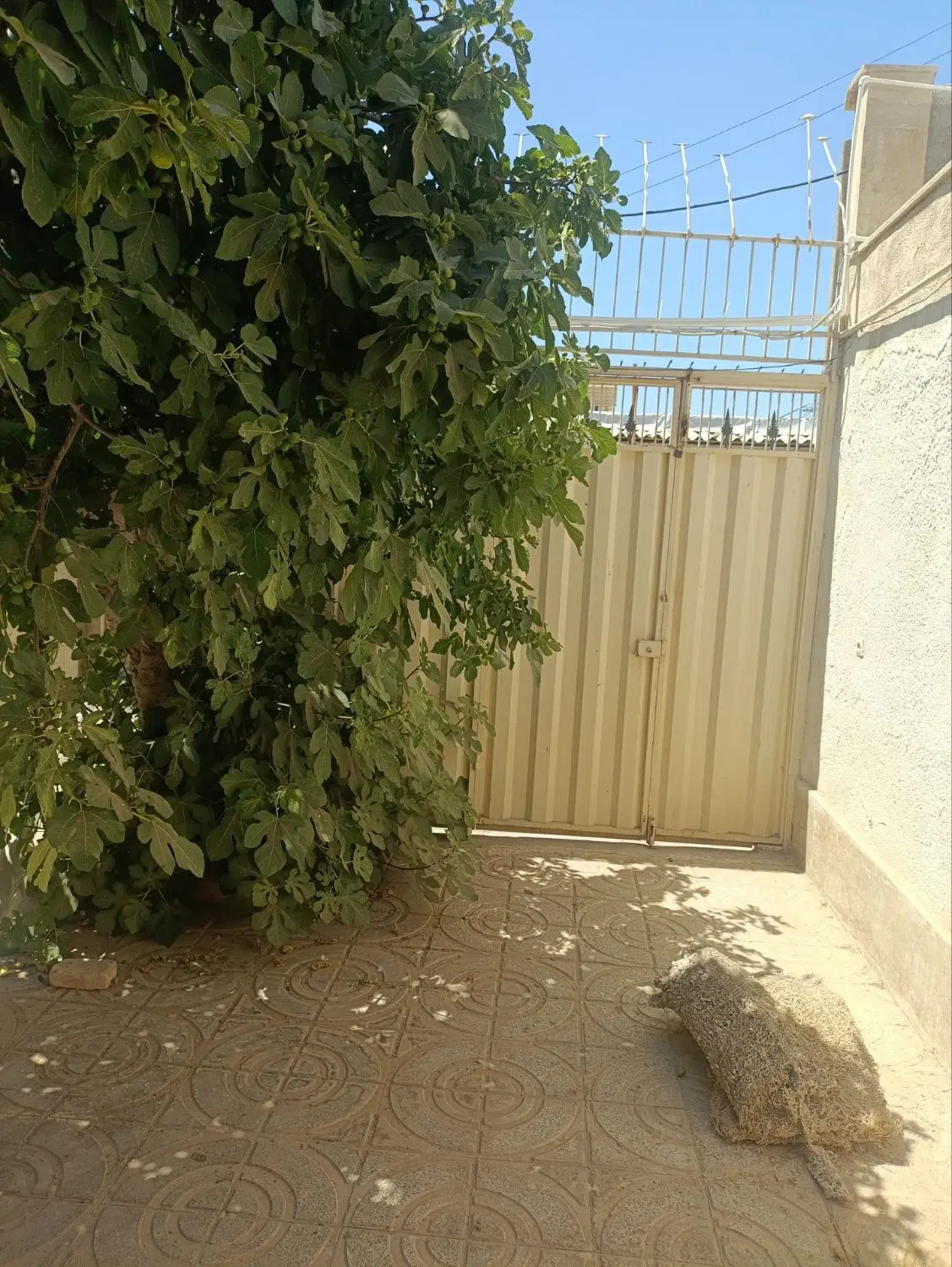 ۱۲۰ متر مسکونی ۲۰ متر تجاری