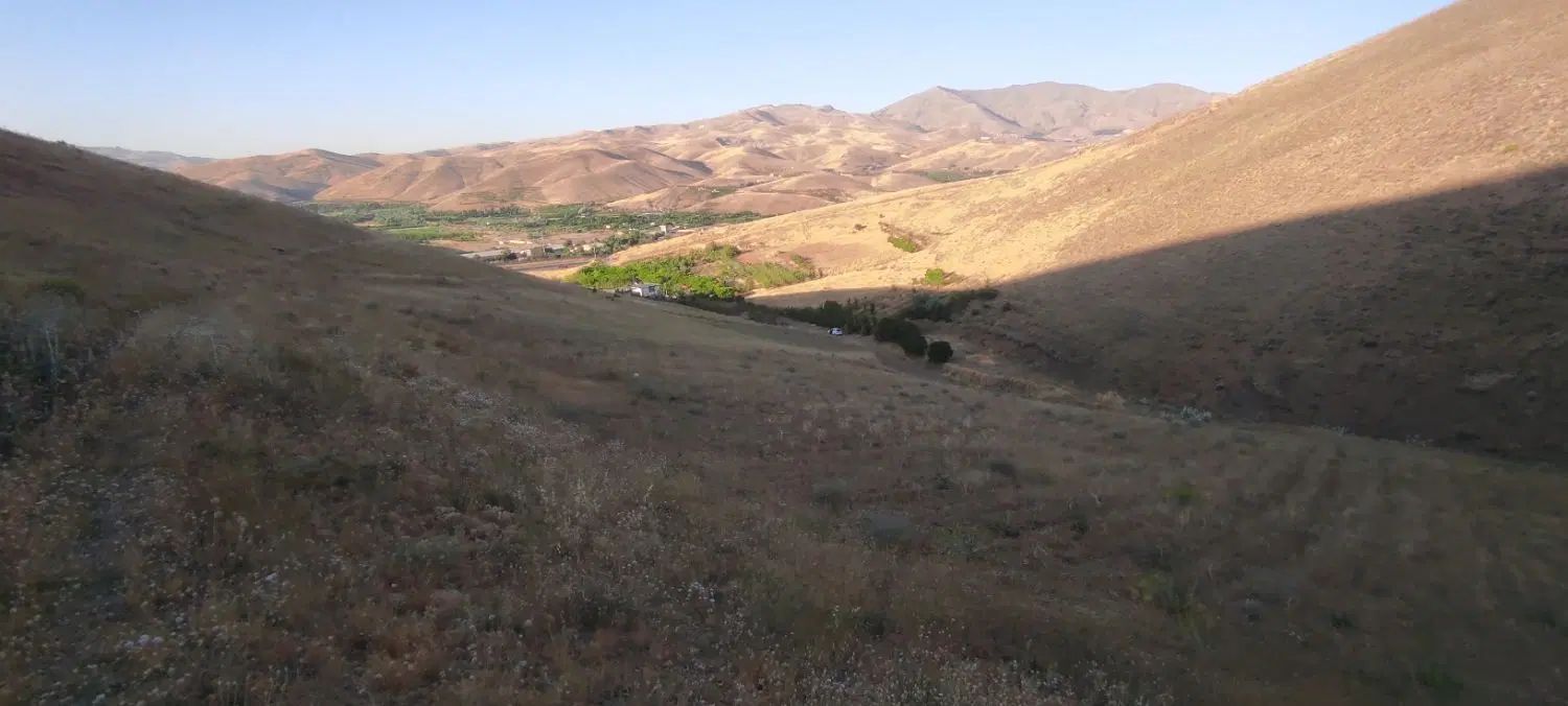 زمین کشاورزی خام