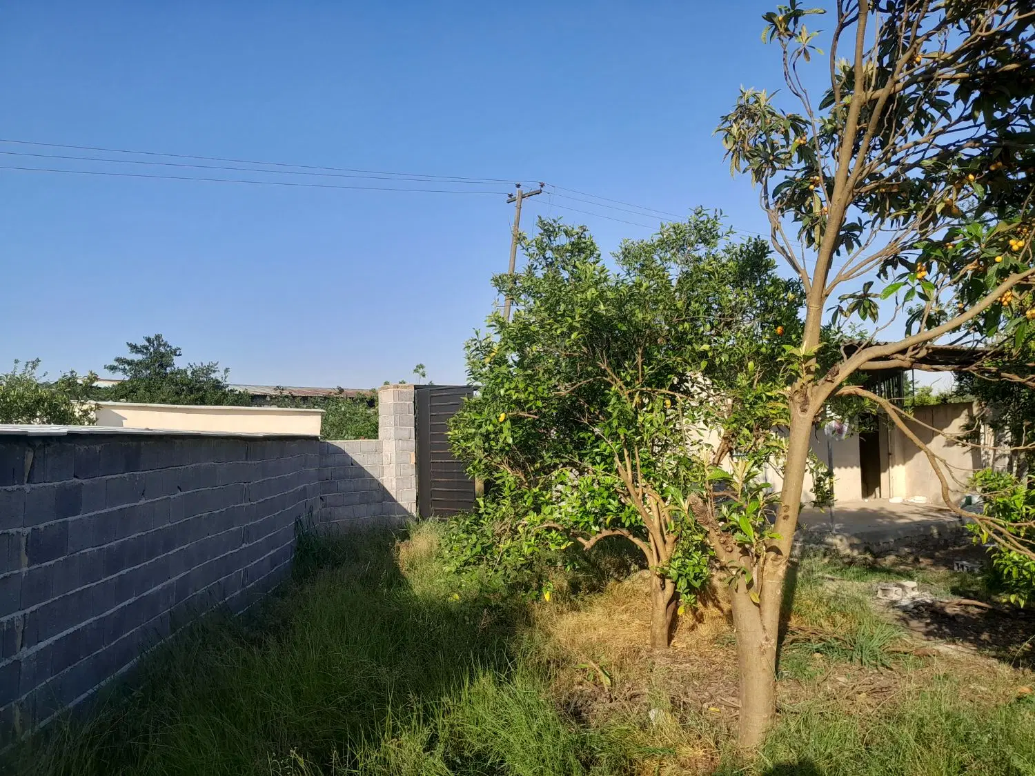 ۴۵۰ متر کلنگی لب خط