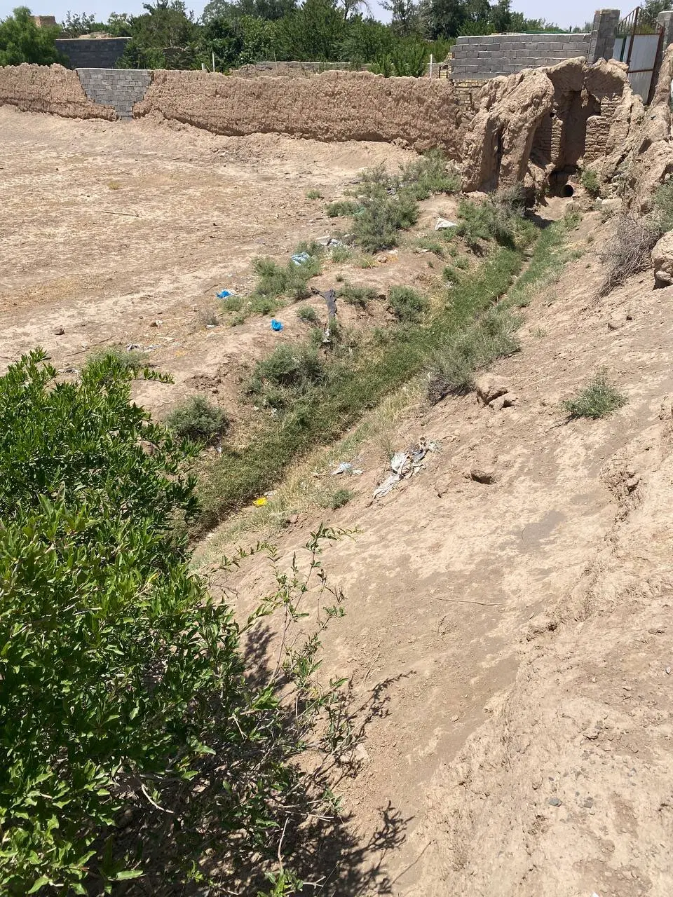 زمینِ باغ فروشی